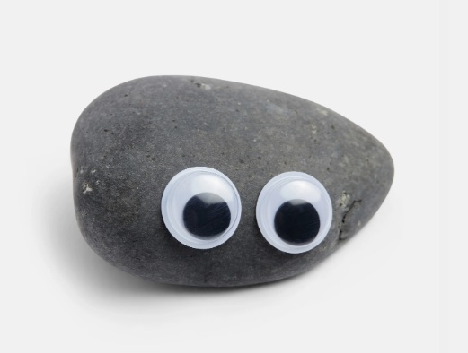 RocksPet Çekingen
