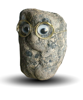 RocksPet Prof