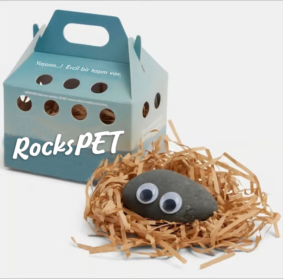 RocksPet Zeki
