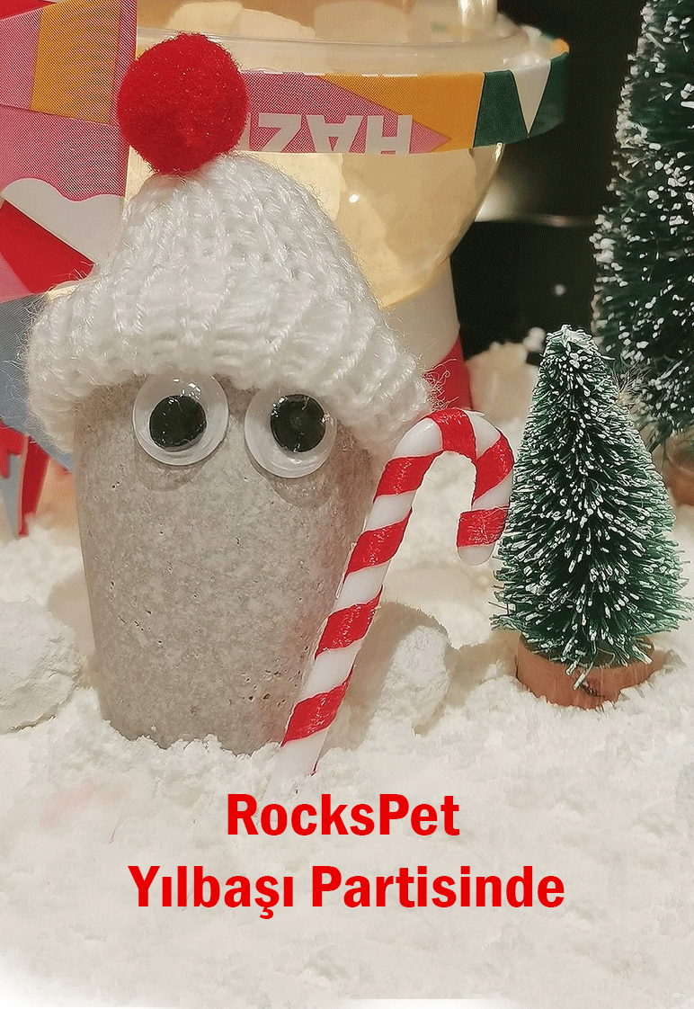 RocksPet Yılbaşı Partisinde